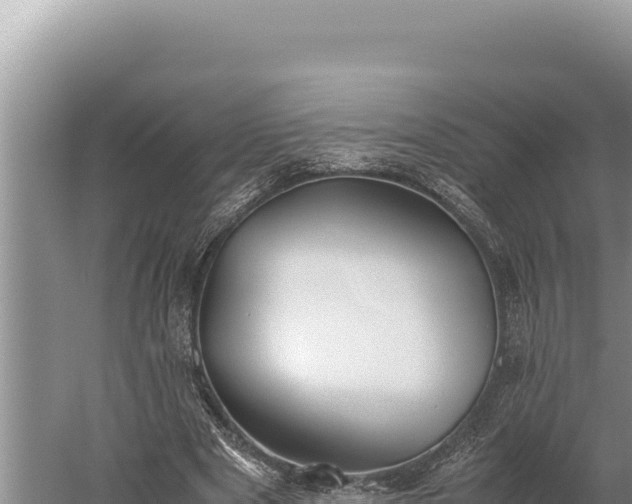 X0000059800489200510281643