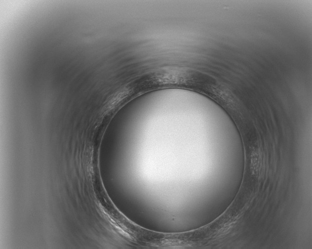 X0000059800490200510281643