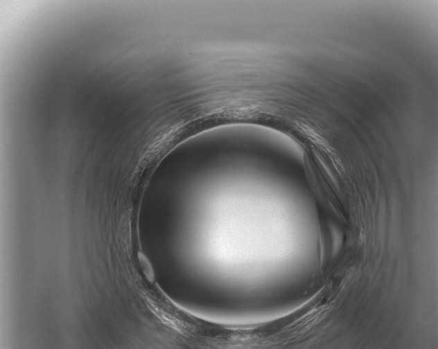 X0000059800493200510281643