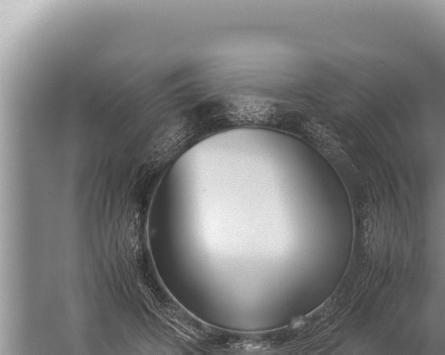 X0000059800498200510281643