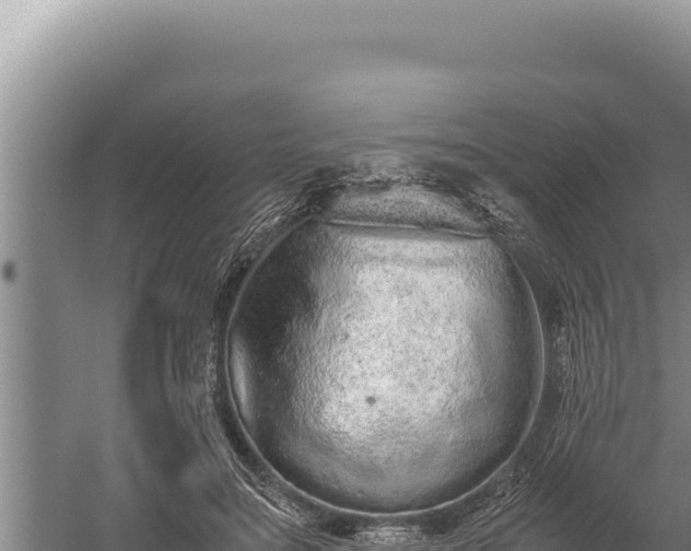 X0000059800499200510281643