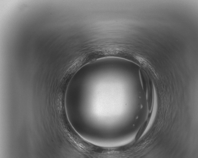 X0000059800501200510281642