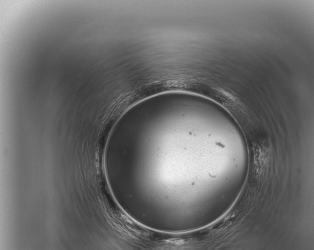 X0000059800502200510281642