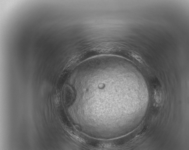 X0000059800503200510281642