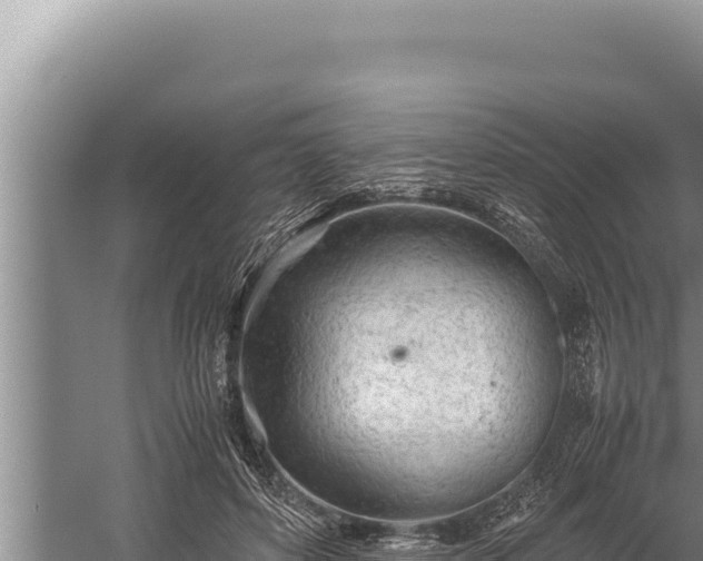 X0000059800504200510281642