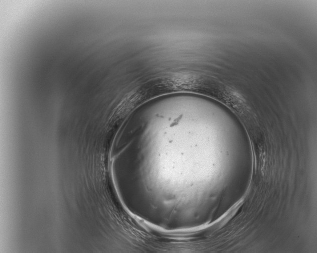 X0000059800506200510281642