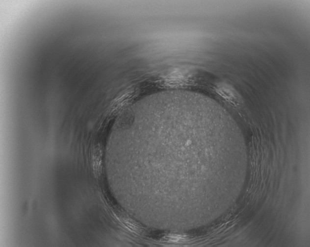 X0000059800507200510281642