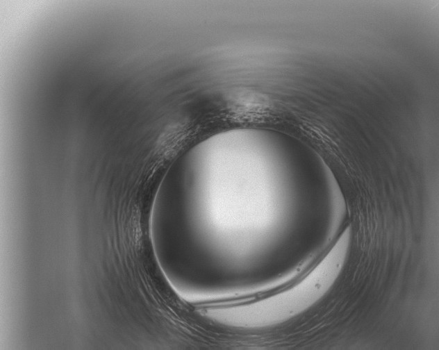 X0000059800508200510281642