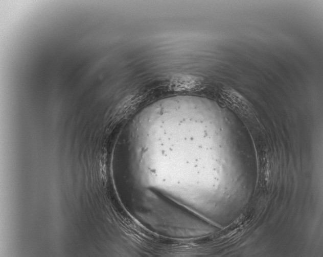 X0000059800510200510281642