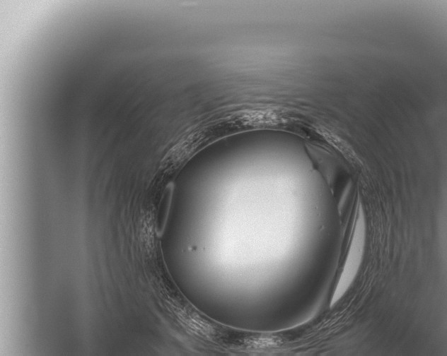 X0000059800513200510281642