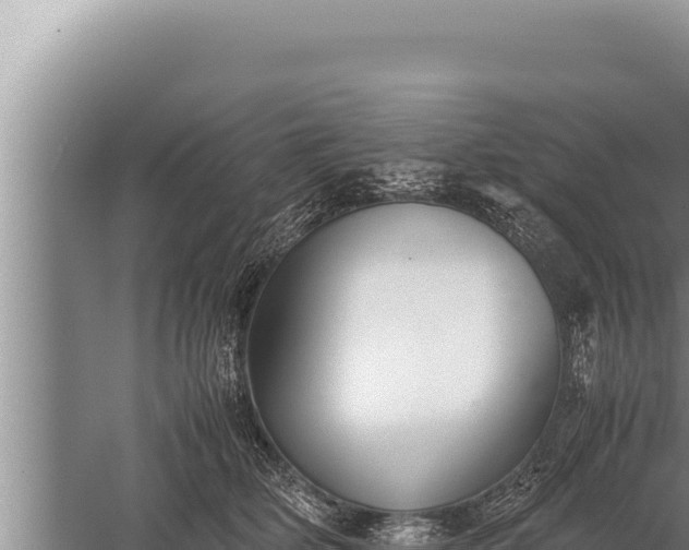 X0000059800514200510281642