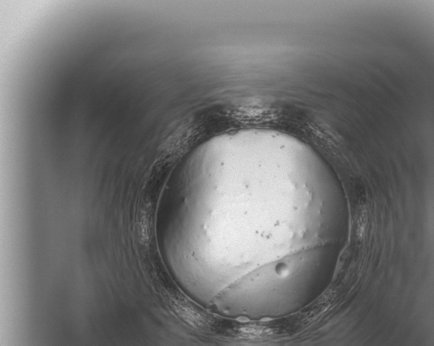 X0000059800515200510281642