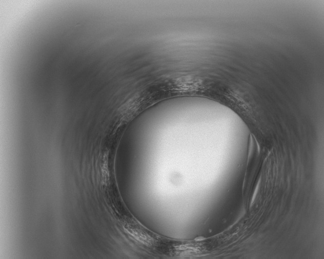 X0000059800516200510281642