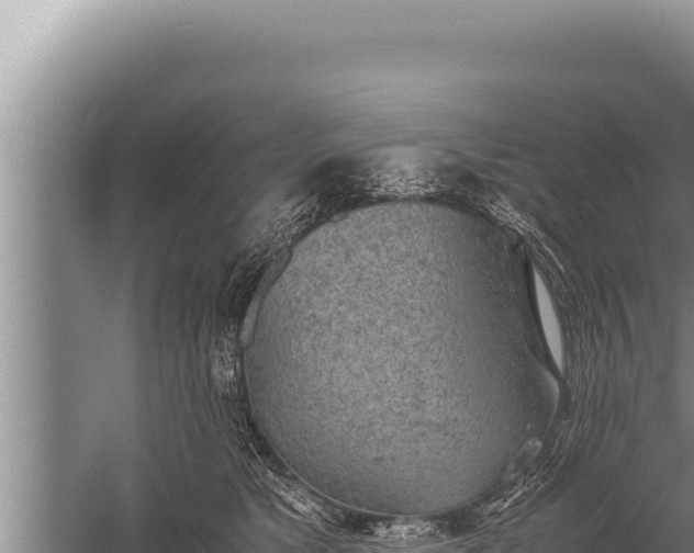 X0000059800517200510281642