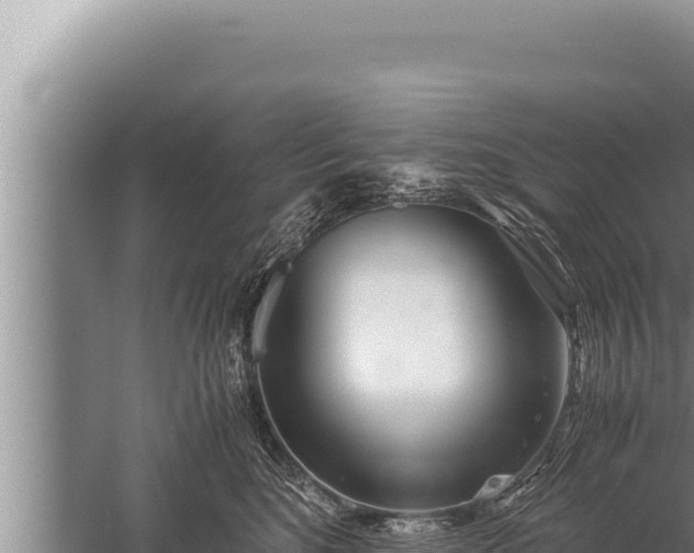 X0000059800520200510281642