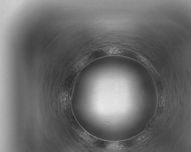 X0000059800521200510281642