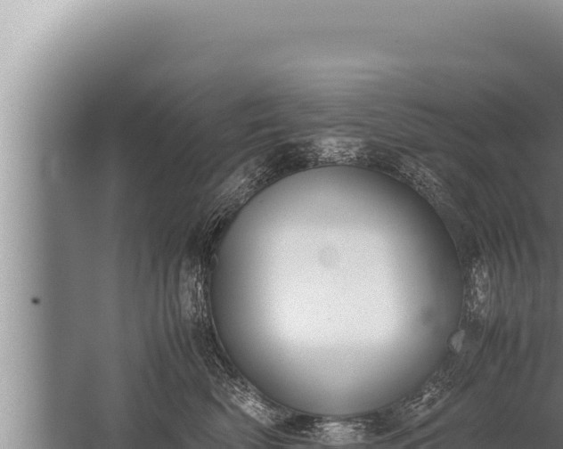 X0000059800522200510281642