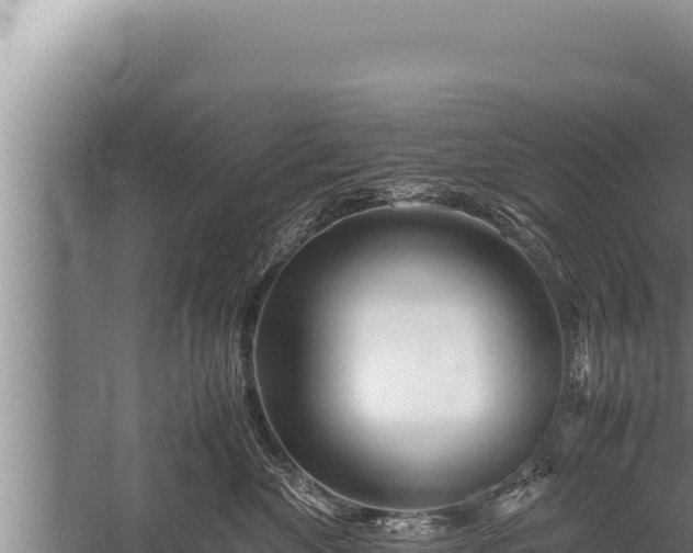 X0000059800524200510281642