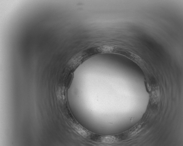 X0000059800525200510281642