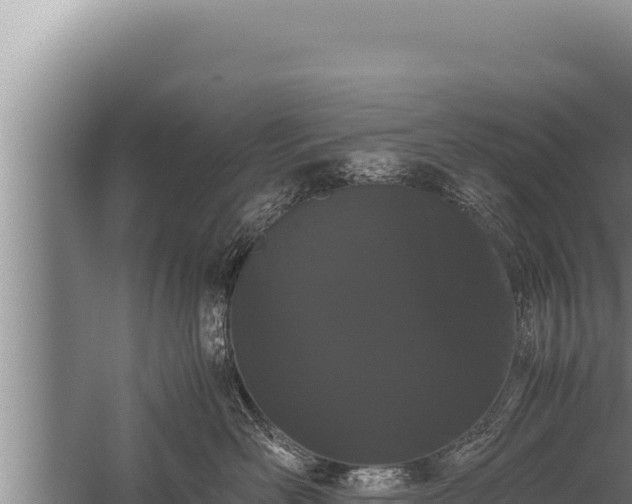 X0000059800526200510281642