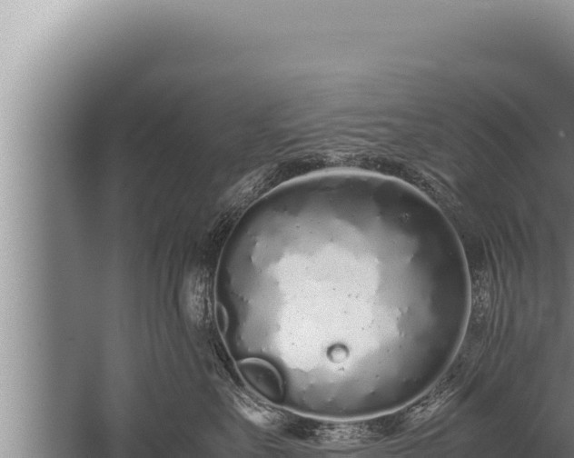 X0000059800527200510281642