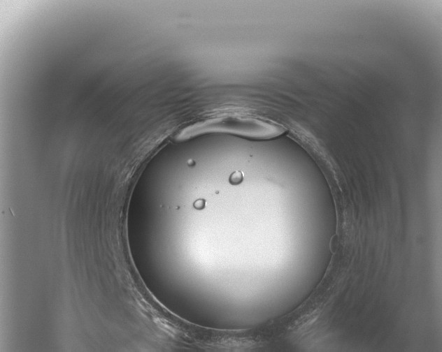 X0000059800529200510281641