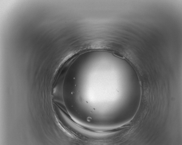 X0000059800530200510281641