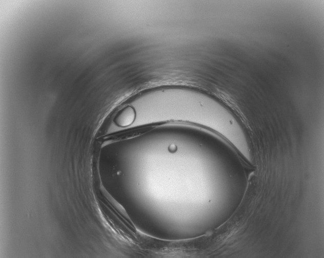 X0000059800534200510281641