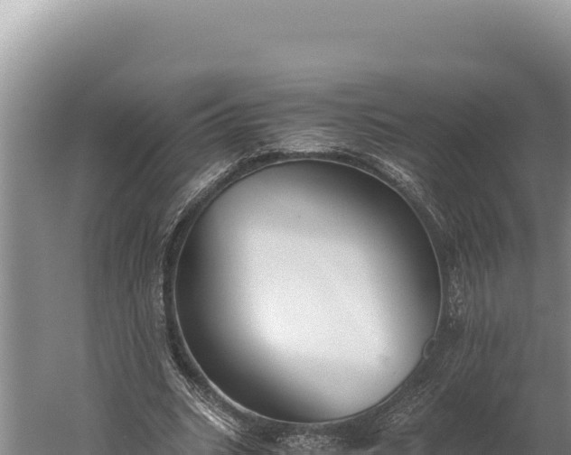 X0000059800535200510281641