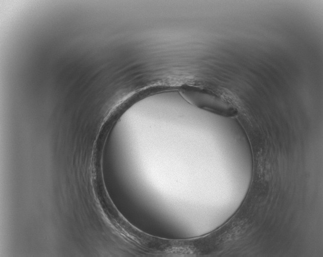 X0000059800536200510281641