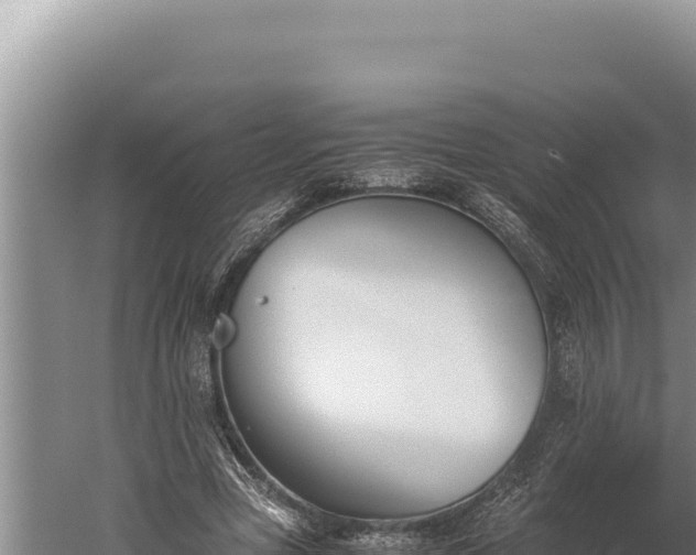 X0000059800537200510281641