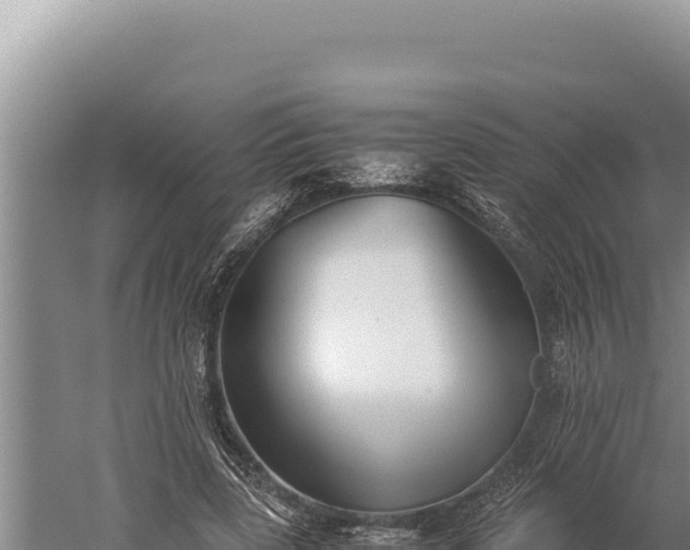 X0000059800539200510281641