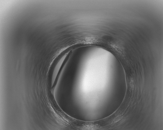 X0000059800540200510281641