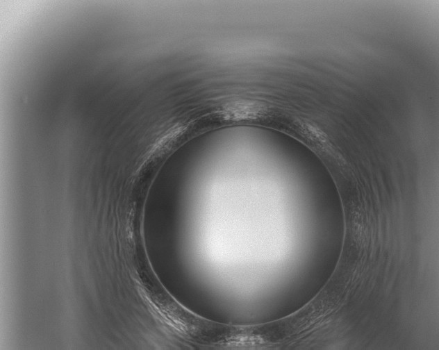 X0000059800543200510281641