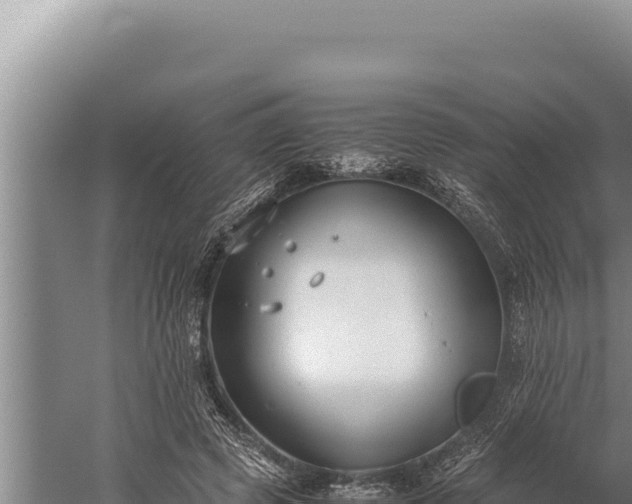 X0000059800545200510281641