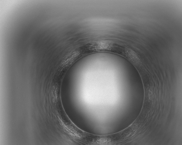 X0000059800546200510281641