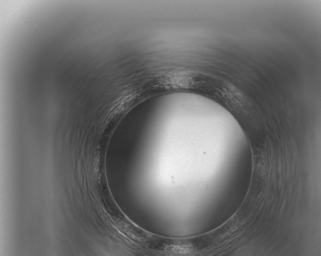 X0000059800548200510281642