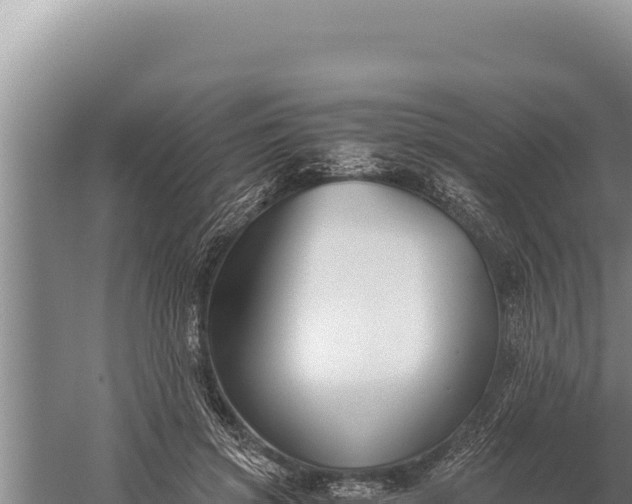 X0000059800549200510281642