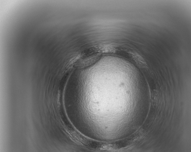 X0000059800550200510281642