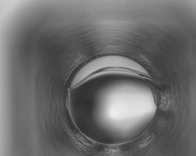 X0000059800552200510281642