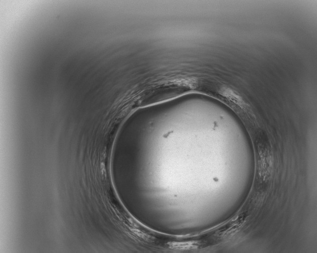 X0000059800553200510281642