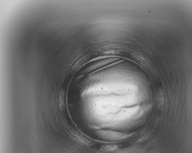 X0000059800554200510281642