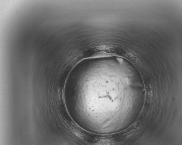 X0000059800555200510281642