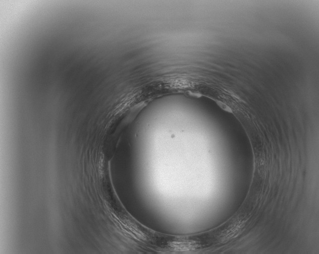 X0000059800556200510281642