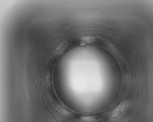 X0000059800557200510281642