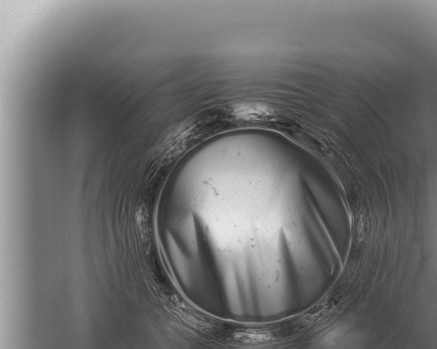 X0000059800559200510281642