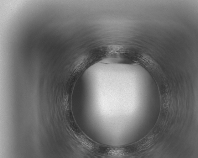 X0000059800560200510281642