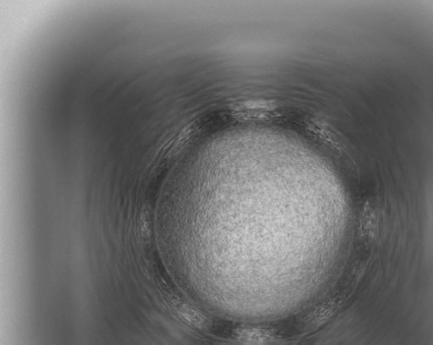 X0000059800561200510281642