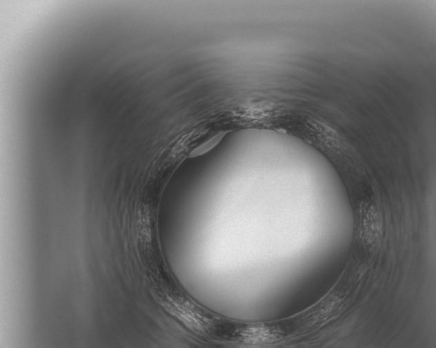 X0000059800562200510281642