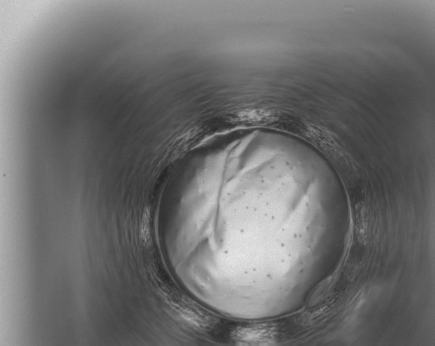 X0000059800563200510281642